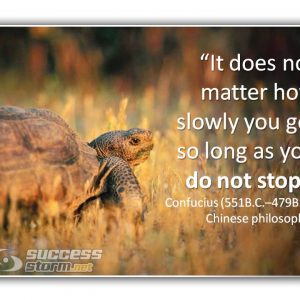 It does not matter how slowly you go - Confucius