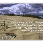 There are only two ways to live your life. One is as though nothing is a miracle. The other is as though everything is a miracle. -- Albert Einstein